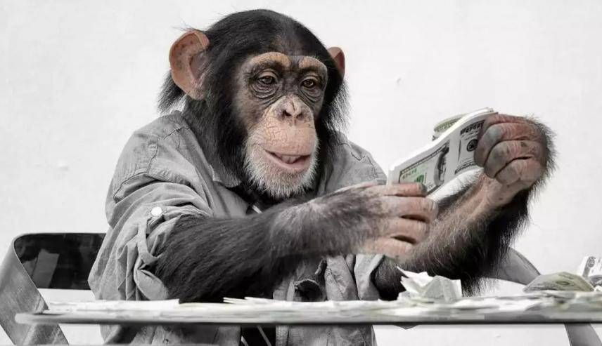 太空冒险计划苹果版:62年前，美国把一只黑猩猩送入太空，返航地球后，发现了不对劲