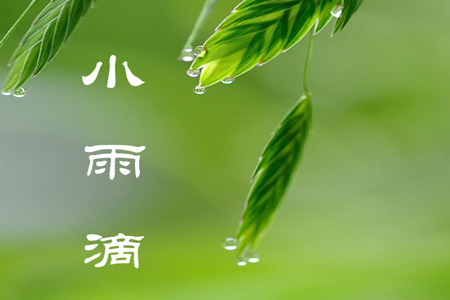 小雨滴苹果版小雨滴软件下载官网